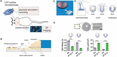 Versatile Surface Electrodes for Combined Electrophysiology and Two-Photon Imaging of the Mouse Central Nervous System